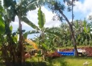 Tambang Galian C Diduga Ilegal di Dasri Banyuwangi, Kades Bungkam – Ada Apa Ya?