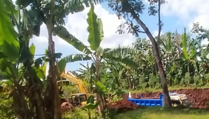 Tambang Galian C Diduga Ilegal di Dasri Banyuwangi, Kades Bungkam – Ada Apa Ya?