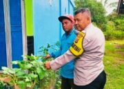 Bhabinkamtibmas Polsek Banyuasin III Gerakkan Masyarakat Desa Langkan Dukung Program Swasembada Pangan Nasional