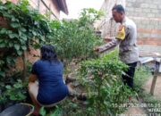 Dukung Ketahanan Pangan, Bhabinkamtibmas Polsek Betung Gerakkan Warga Manfaatkan Pekarangan Rumah