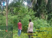 Bhabinkamtibmas Polsek Betung Dorong Masyarakat Dukung Program Swasembada Pangan Nasional