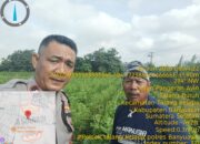 Bhabinkamtibmas Polsek Talang Kelapa Perkuat Edukasi Pemanfaatan Pekarangan untuk Ketahanan Pangan Keluarga