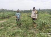 Bhabinkamtibmas Polsek Tungkal Ilir Dorong Warga Desa Bumi Serdang Perkuat Ketahanan Pangan Keluarga
