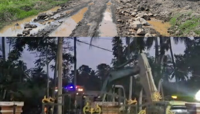 Alat Berat Terpantau Saat Gelap, Publik Desak APH Polresta Banyuwangi Usut Dugaan Tambang Ilegal Gus Nik di Songgon