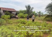 Bhabinkamtibmas Polsek Banyuasin II Dorong Warga Muara Sungsang Optimalkan Pekarangan Produktif