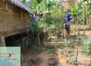 Bhabinkamtibmas Polsek Rantau Bayur Ajak Warga Desa Sungai Naik Dukung Program Pekarangan Pangan Bergizi