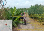 Bhabinkamtibmas Polsek Talang Kelapa Ajak Warga Kelurahan Sei Sedapat Sukseskan Program Pekarangan Pangan Bergizi