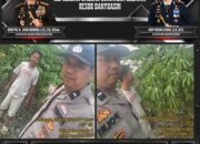 Bhabinkamtibmas Polsek Banyuasin II Ajak Warga Desa Prajen Jaya Dukung Program Pekarangan Pangan Bergizi