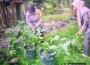Bhabinkamtibmas Polsek Tungkal Ilir Ajak Warga Desa Bentayan Sukseskan Program Pekarangan Pangan Bergizi