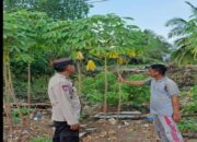 Bhabinkamtibmas Polsek Banyuasin II Ajak Warga Marga Sungsang Manfaatkan Pekarangan untuk Ketahanan Pangan