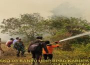 Karhutla Seluas 10 Hektare Terjadi di Tanjung Lago, Tim Gabungan Berhasil Padamkan Api