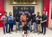 Gerak cepat ,Team Opsnal Srigala Polsek  Talang Kelapa Ungkap kasus tindak pidana pencurian dengan kekerasan/Begal