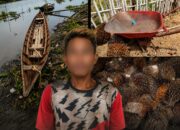 Unit Reskrim Polsek Air Kumbang Ungkap Kasus Pencurian Buah Sawit, Satu Tersangka Diamankan