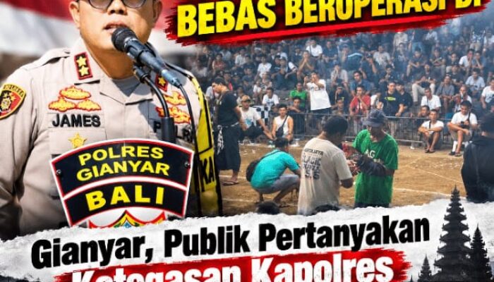 Tajen Disebut Bebas Beroperasi di Gianyar, Publik Pertanyakan Ketegasan Kapolres dan Minta Dugaan “Atensi” Diusut