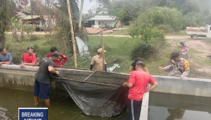 Dukung Swasembada Pangan Nasional, Bhabinkamtibmas Polsek Muara Padang Aipda M Ibrahim, Ajak Warga Desa Karang Anyar Kec. Muara Padang Kembangkan Pekarangan Produktif